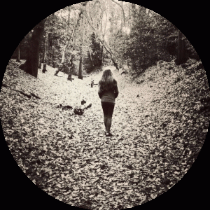 Instagram account Luna Honeywood forest bathing