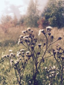 Autumn equinox
