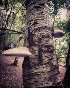 yoga and forest bathing